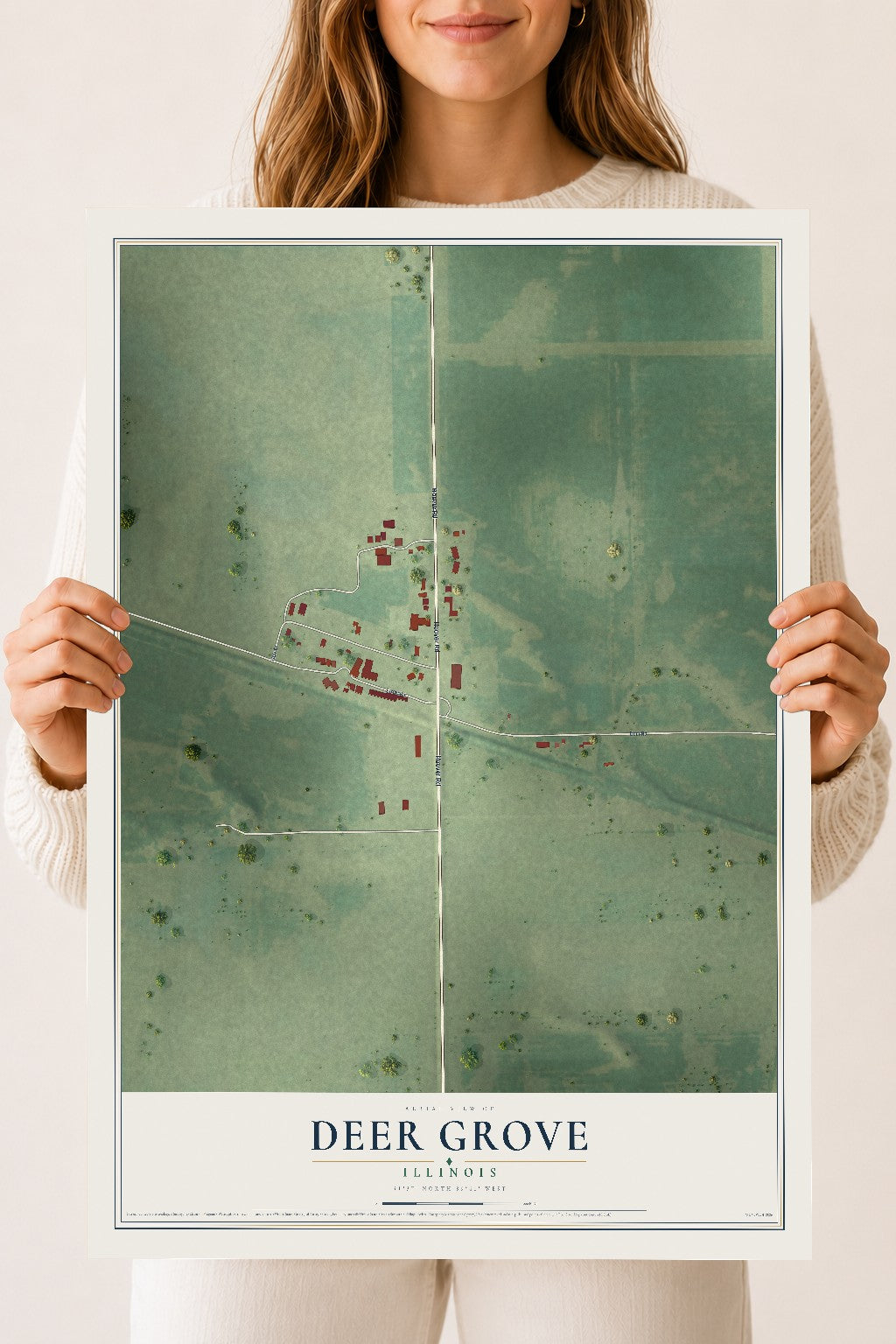 Map of Deer Grove, Illinois, 18 x 24 inch unframed archival matte print