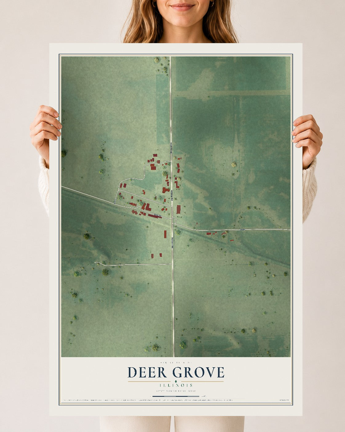 Map of Deer Grove, Illinois, 24 x 36 inch unframed archival matte print