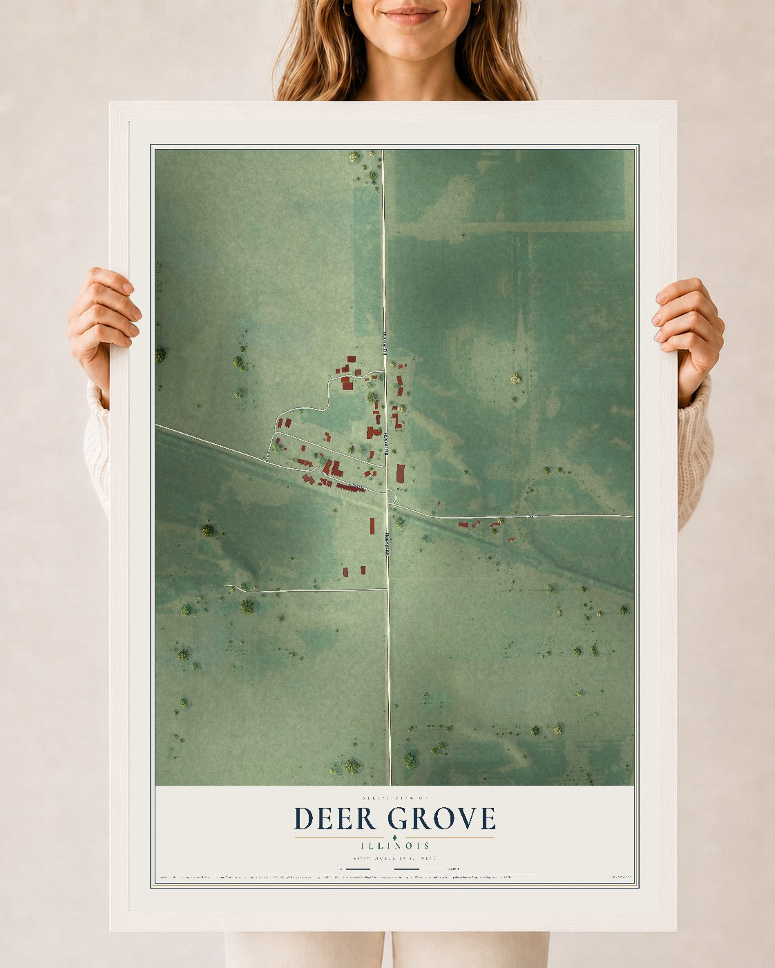 Map of Deer Grove, Illinois, 24 x 36 inch print in a white wood frame