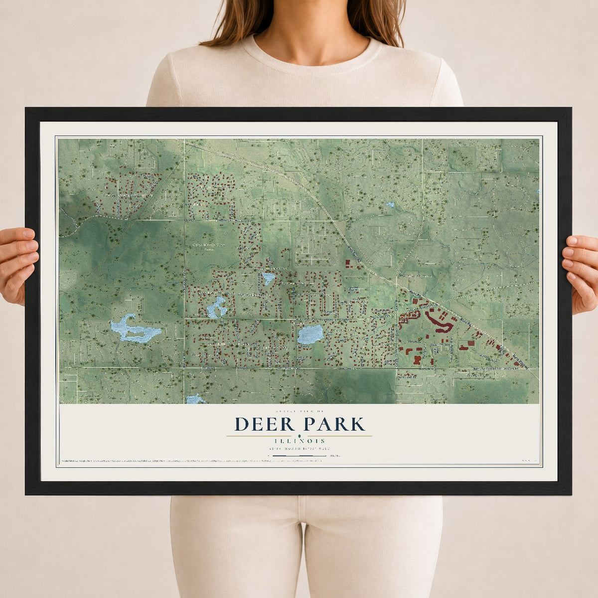 Map of Deer Park, Illinois, 18 x 24 inch print in a black wood frame