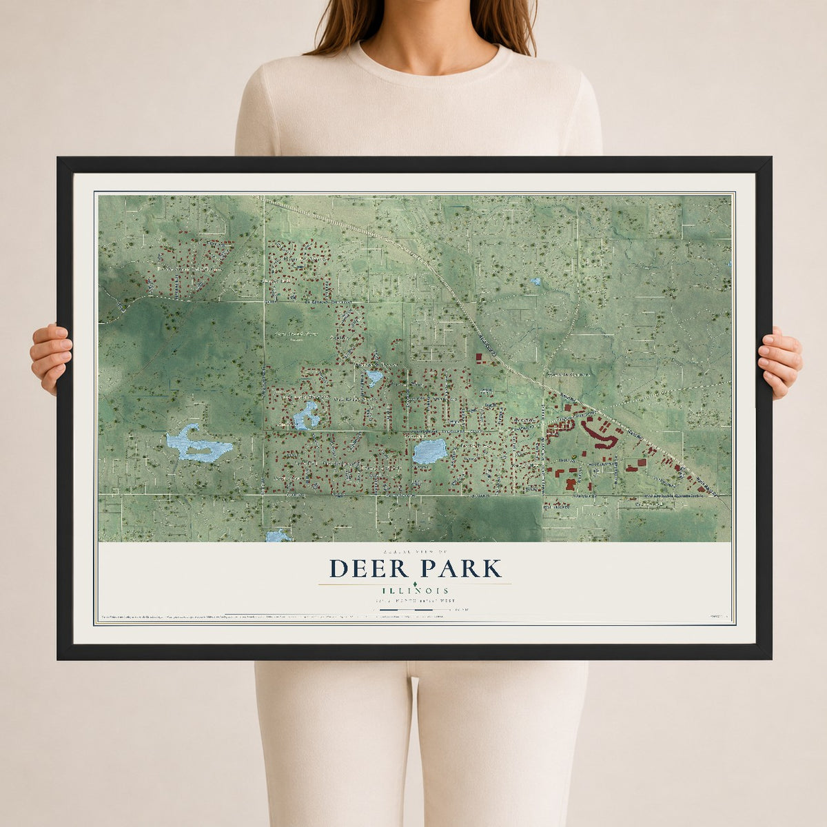 Map of Deer Park, Illinois, 24 x 36 inch print in a black wood frame