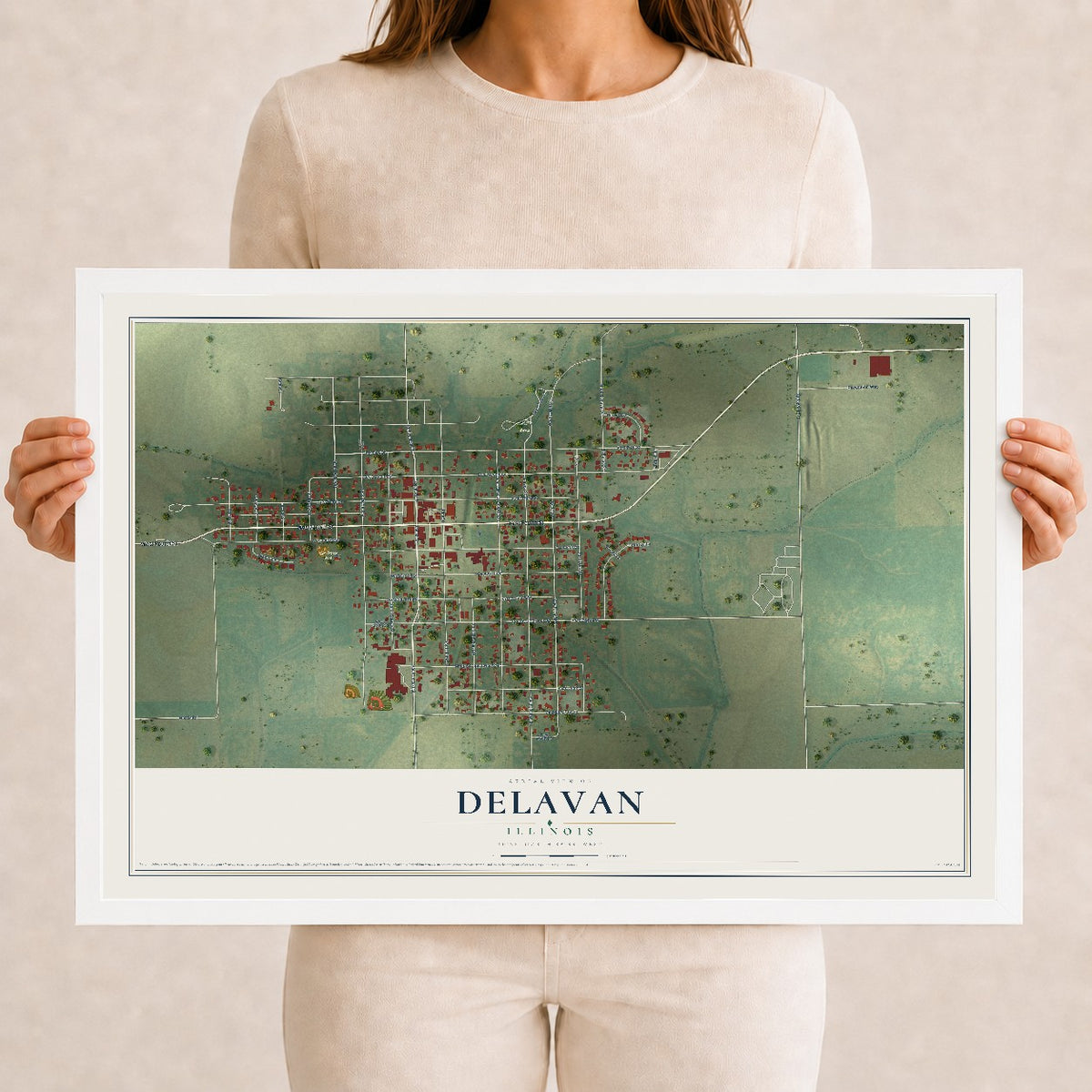 Map of Delavan, Illinois, 12 x 18 inch print in a white wood frame