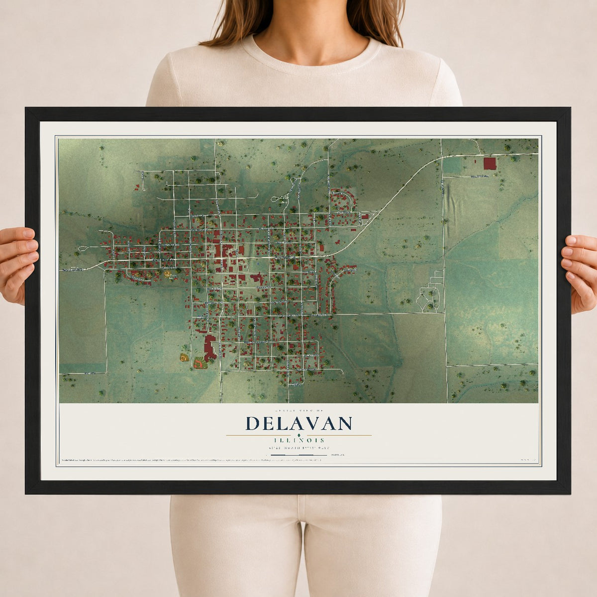 Map of Delavan, Illinois, 18 x 24 inch print in a black wood frame