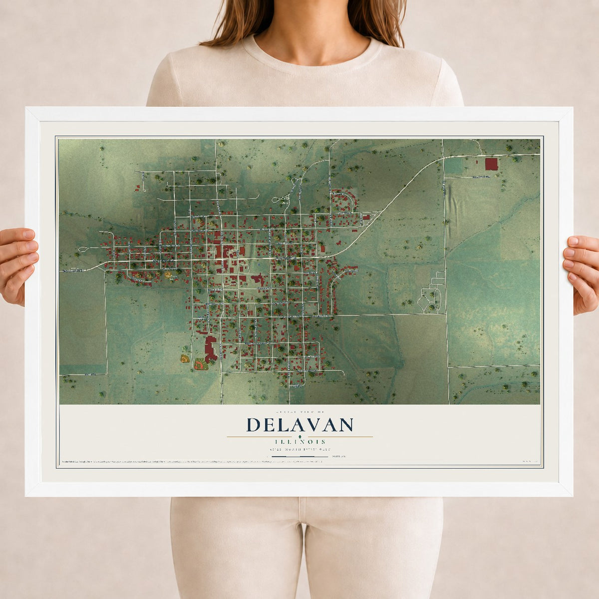 Map of Delavan, Illinois, 18 x 24 inch print in a white wood frame