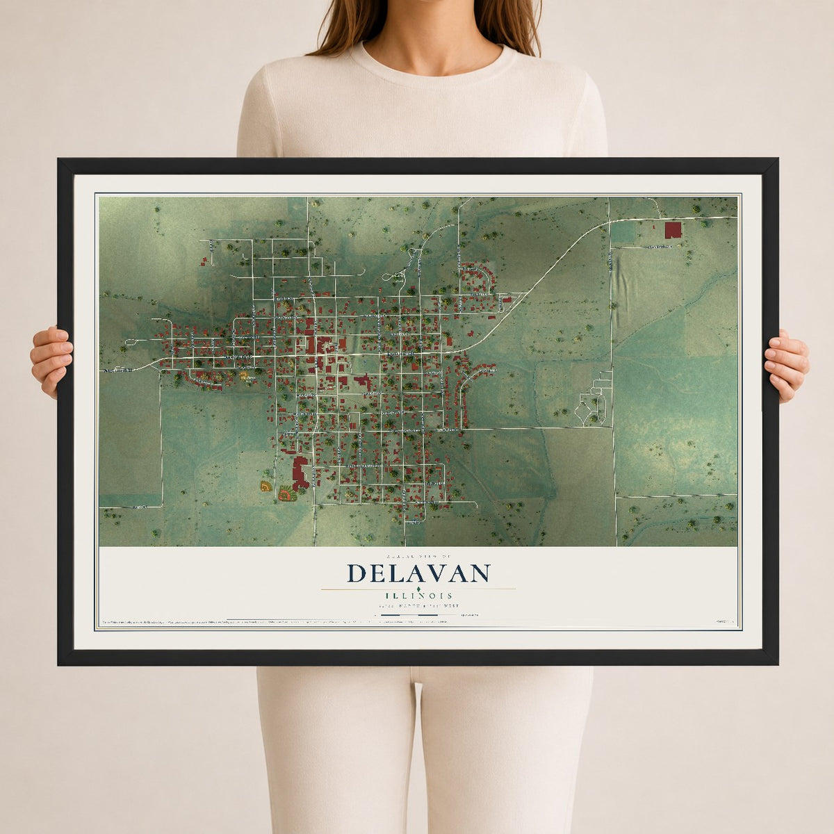 Map of Delavan, Illinois, 24 x 36 inch print in a black wood frame