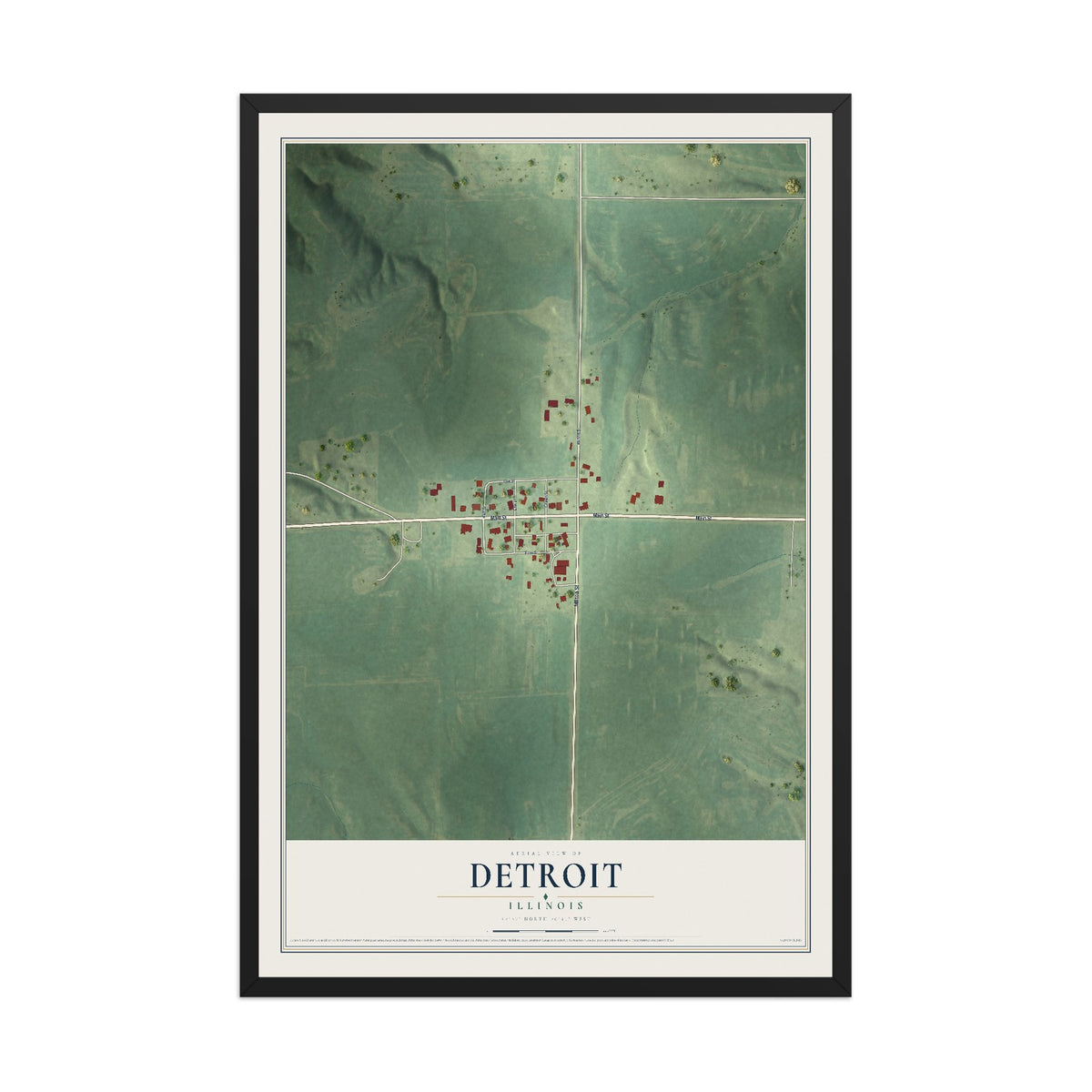 Map of Detroit, Illinois, 12 x 18 inch print in a black wood frame