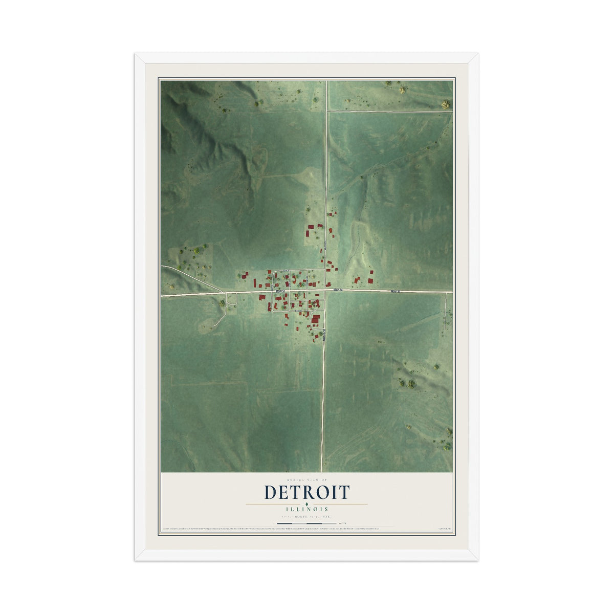 Map of Detroit, Illinois, 12 x 18 inch print in a white wood frame