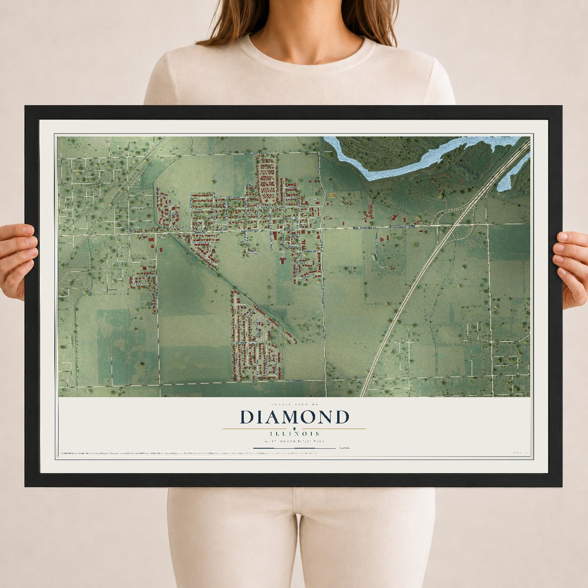 Map of Diamond, Illinois, 18 x 24 inch print in a black wood frame