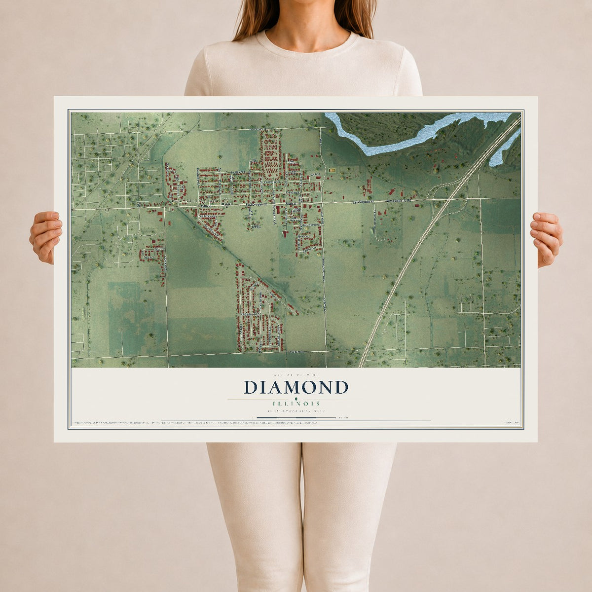 Map of Diamond, Illinois, 24 x 36 inch unframed archival matte print