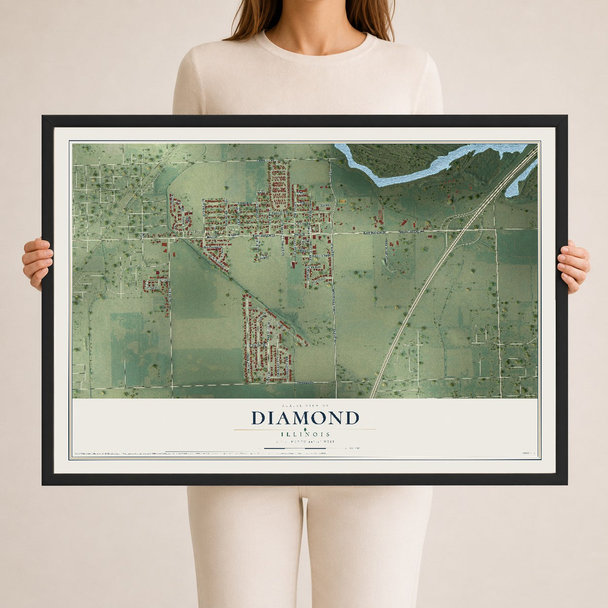 Map of Diamond, Illinois, 24 x 36 inch print in a black wood frame