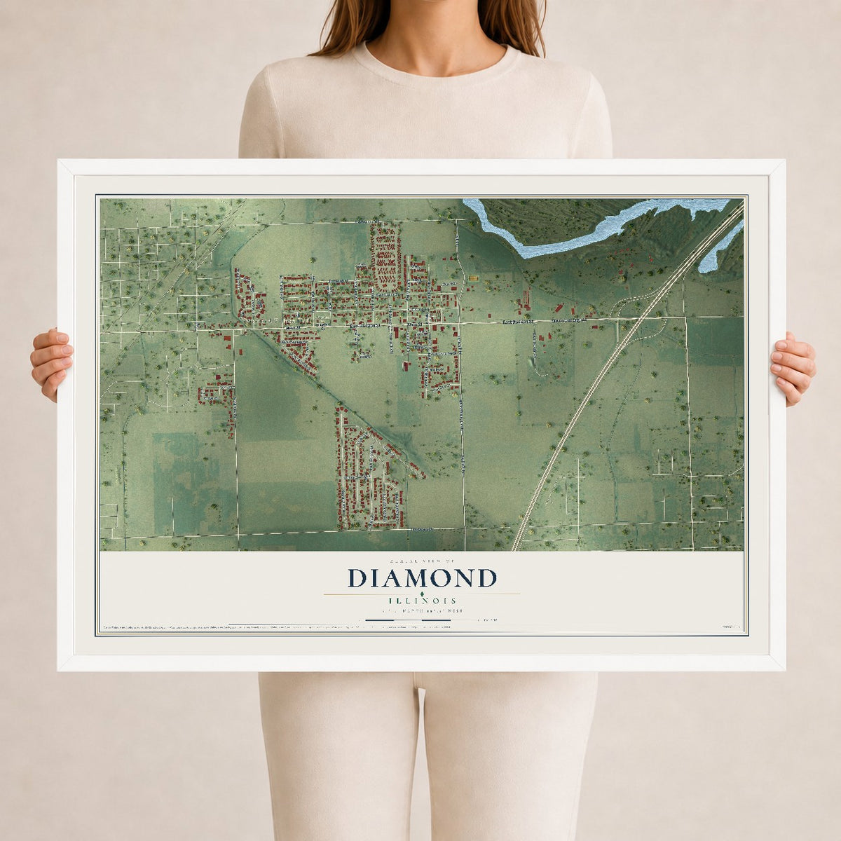 Map of Diamond, Illinois, 24 x 36 inch print in a white wood frame