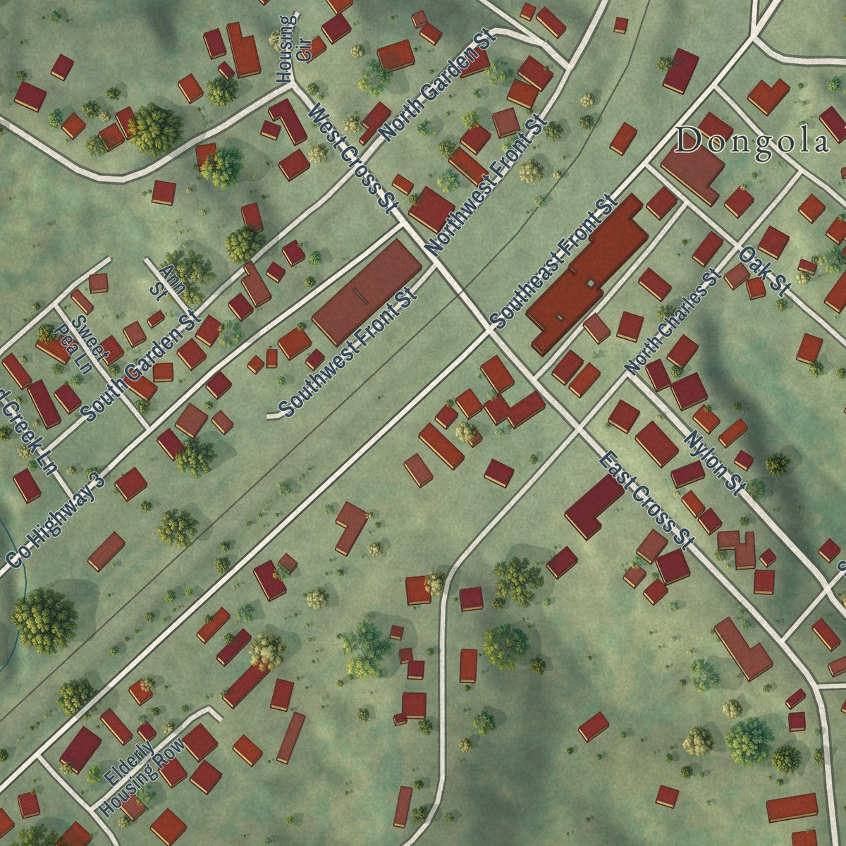 Close-up of the map of Dongola, Illinois print showing street and building detail