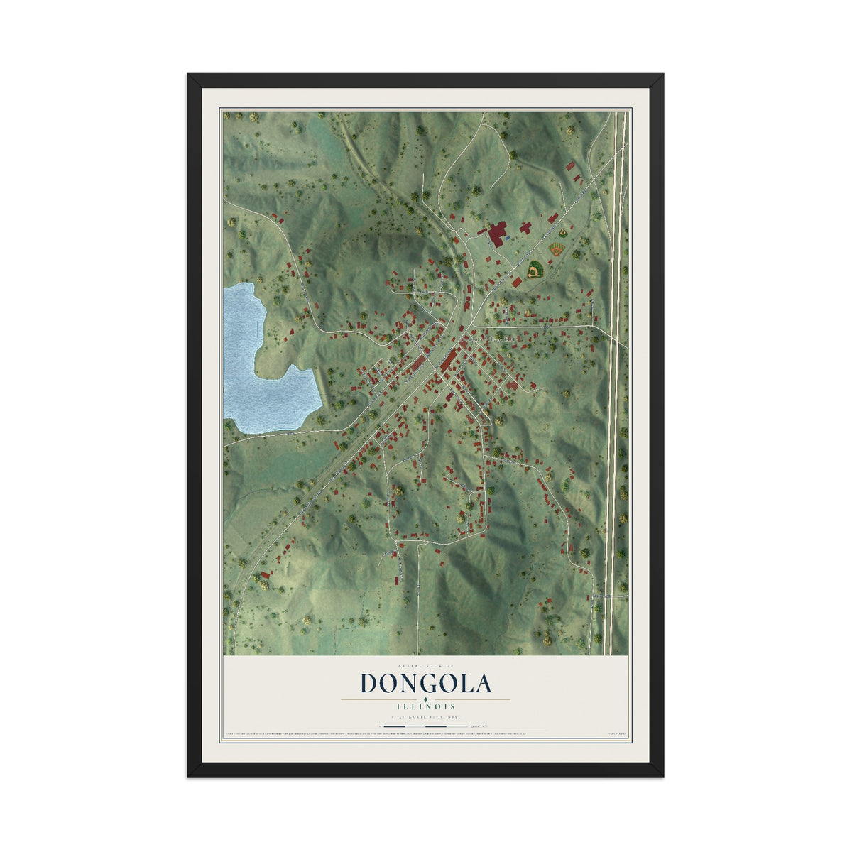 Map of Dongola, Illinois, 12 x 18 inch print in a black wood frame