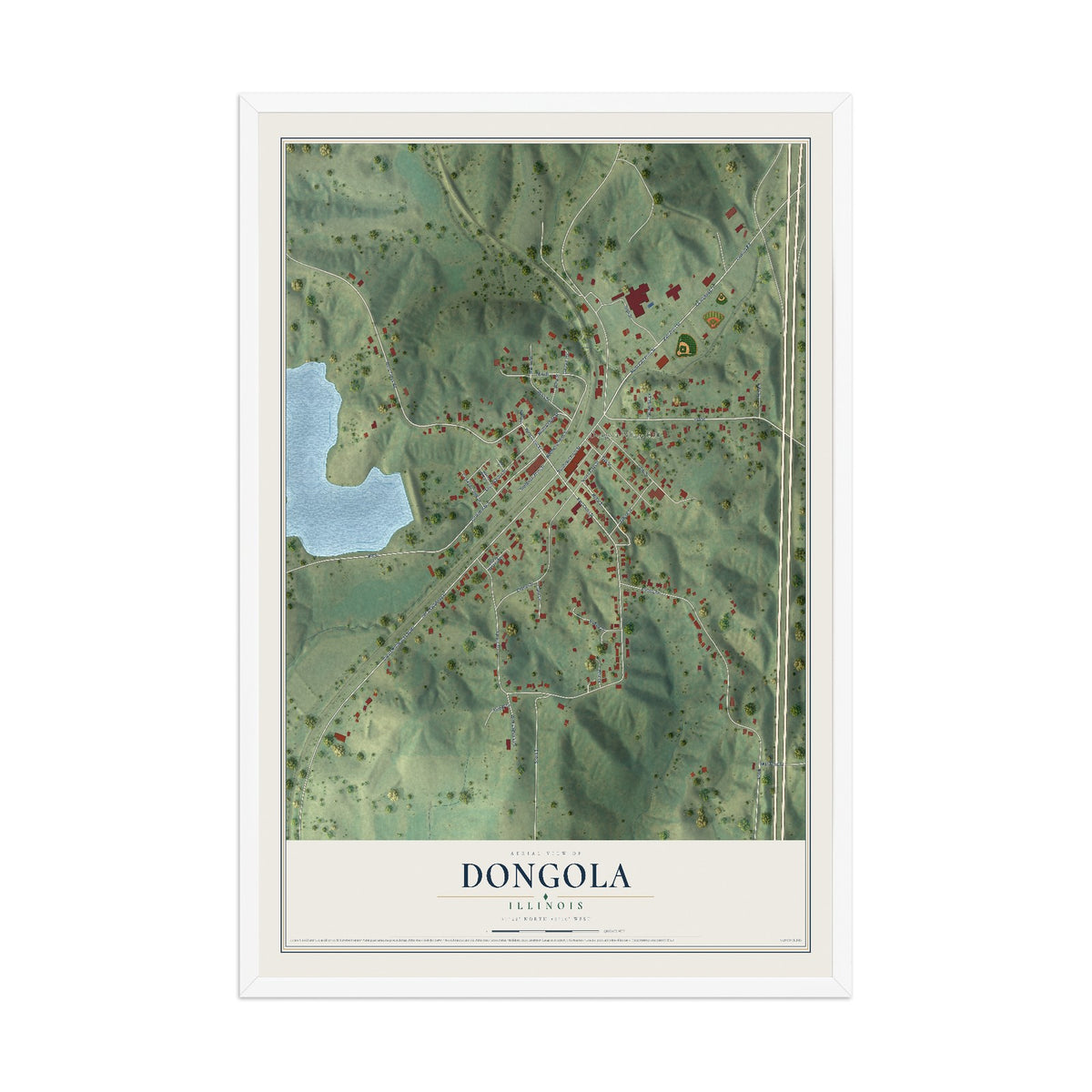 Map of Dongola, Illinois, 12 x 18 inch print in a white wood frame