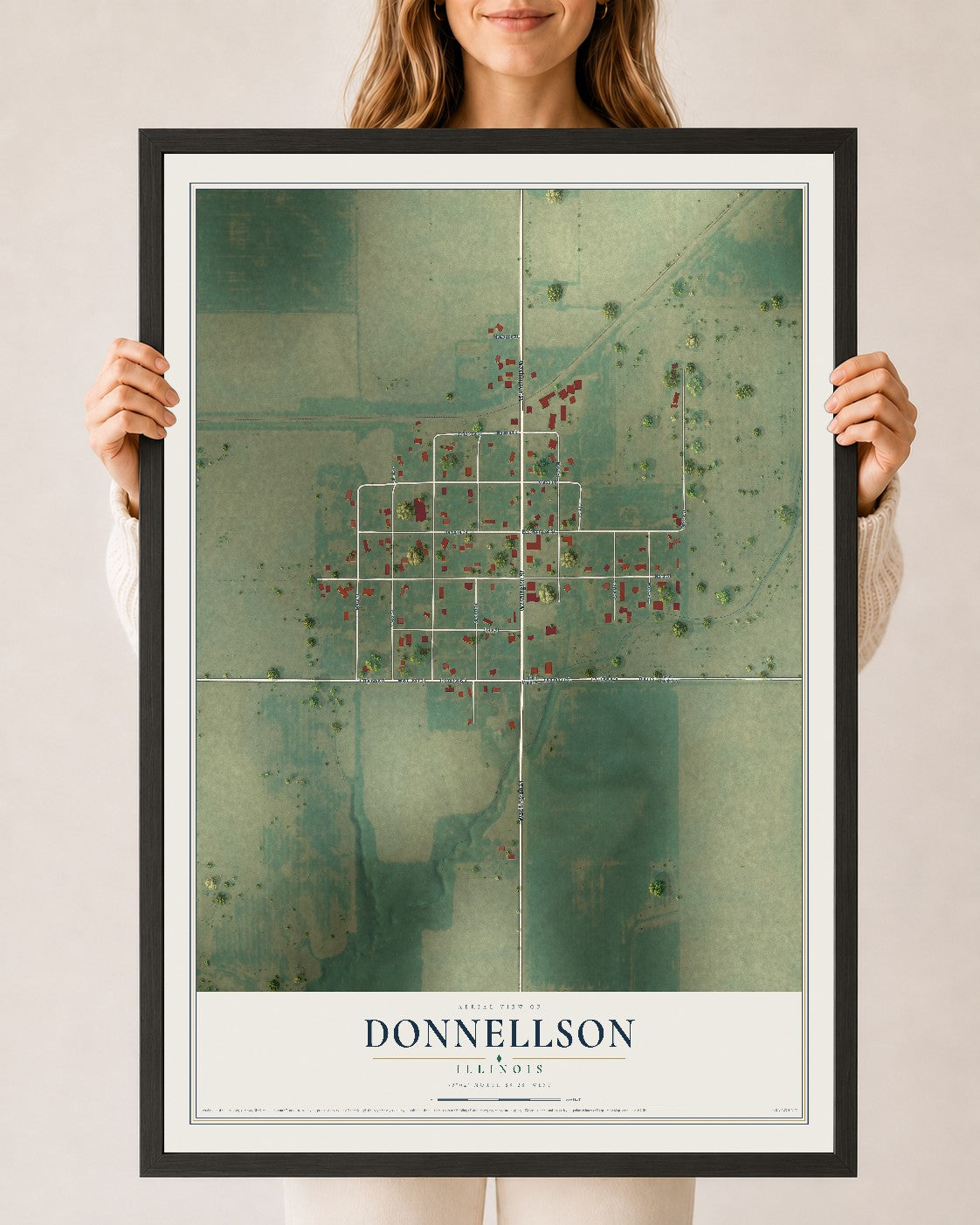 Map of Donnellson, Illinois, 24 x 36 inch print in a black wood frame