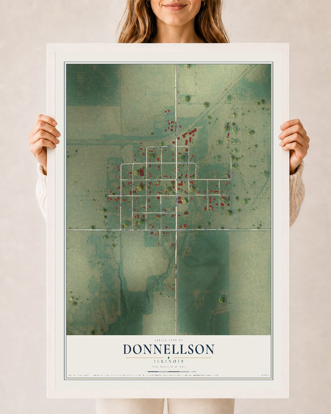 Map of Donnellson, Illinois, 24 x 36 inch print in a white wood frame