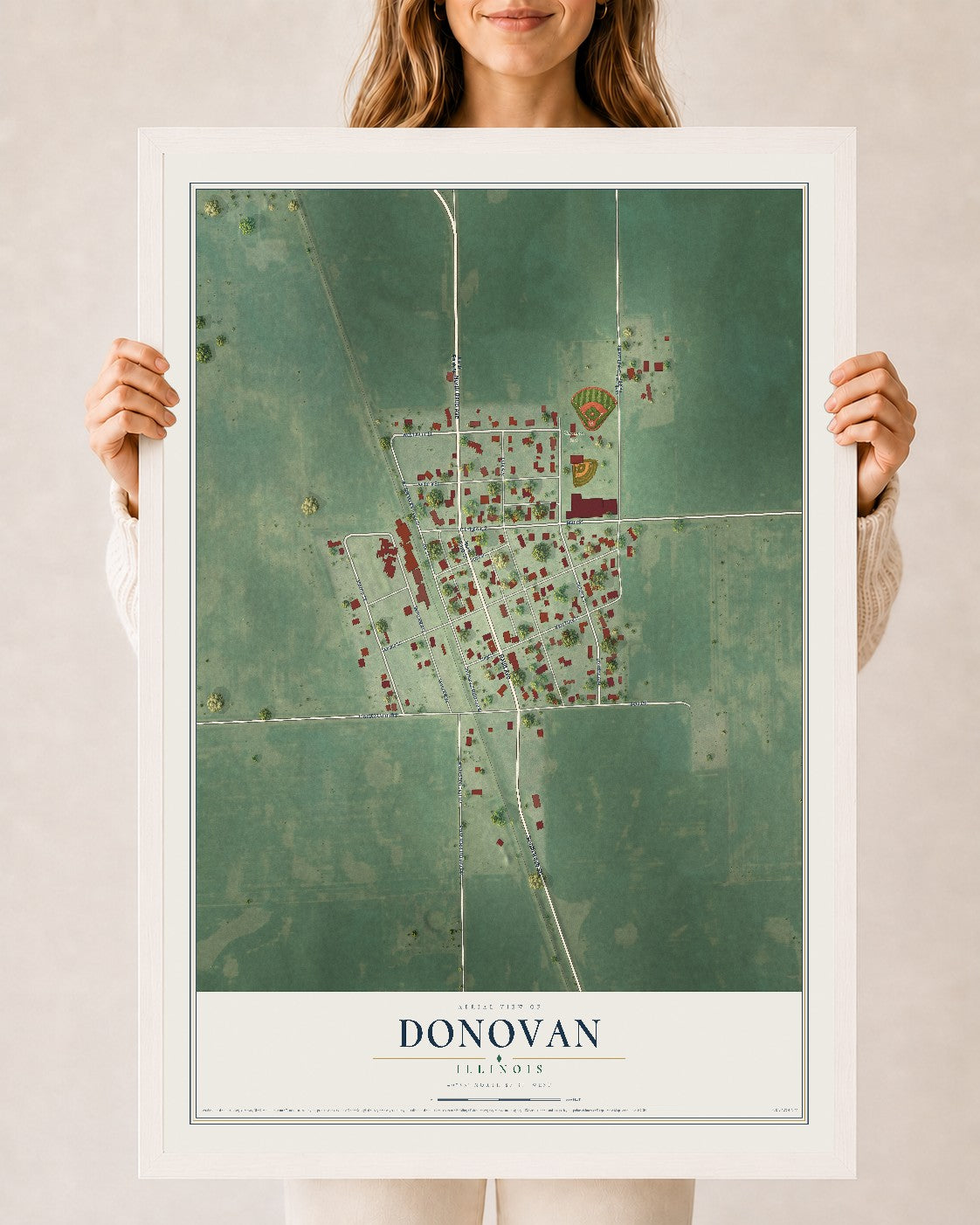 Map of Donovan, Illinois, 24 x 36 inch print in a white wood frame