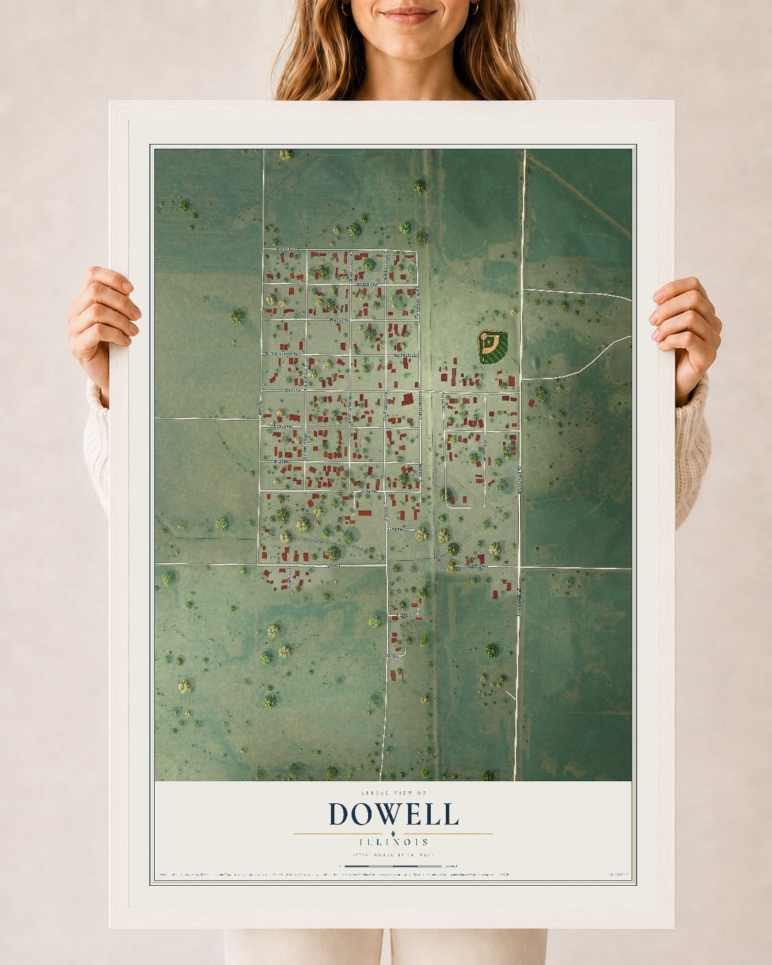 Map of Dowell, Illinois, 24 x 36 inch print in a white wood frame