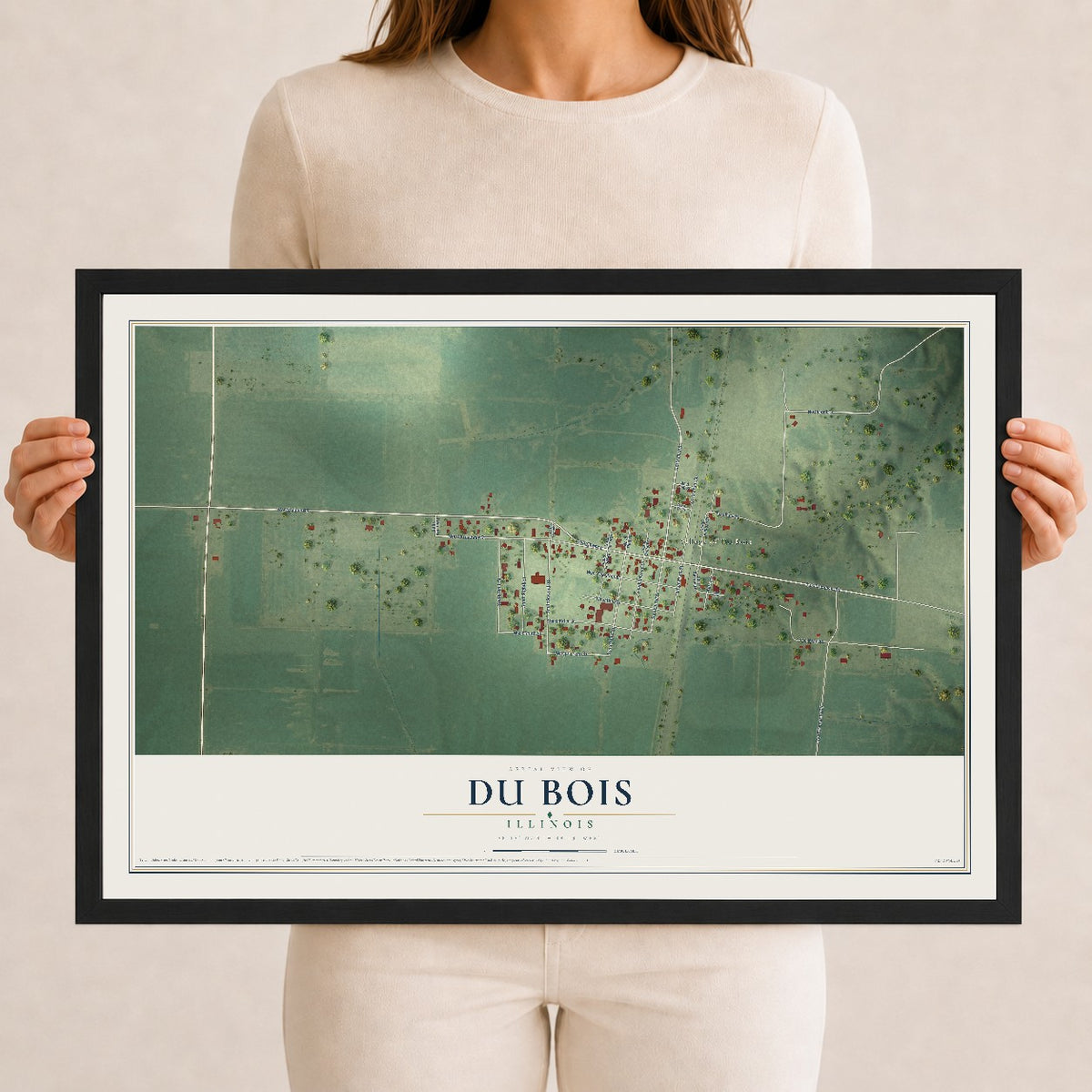 Map of Du Bois, Illinois, 12 x 18 inch print in a black wood frame