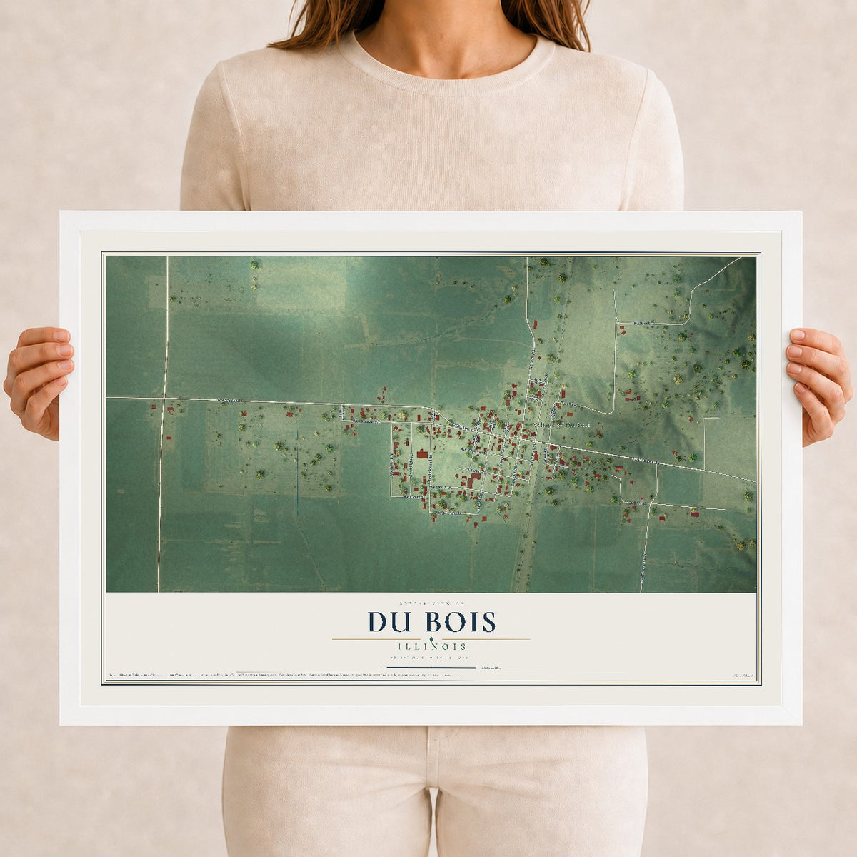 Map of Du Bois, Illinois, 12 x 18 inch print in a white wood frame
