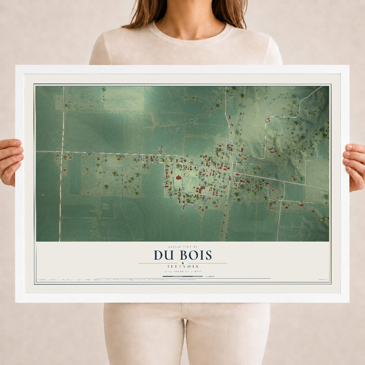 Map of Du Bois, Illinois, 18 x 24 inch print in a white wood frame