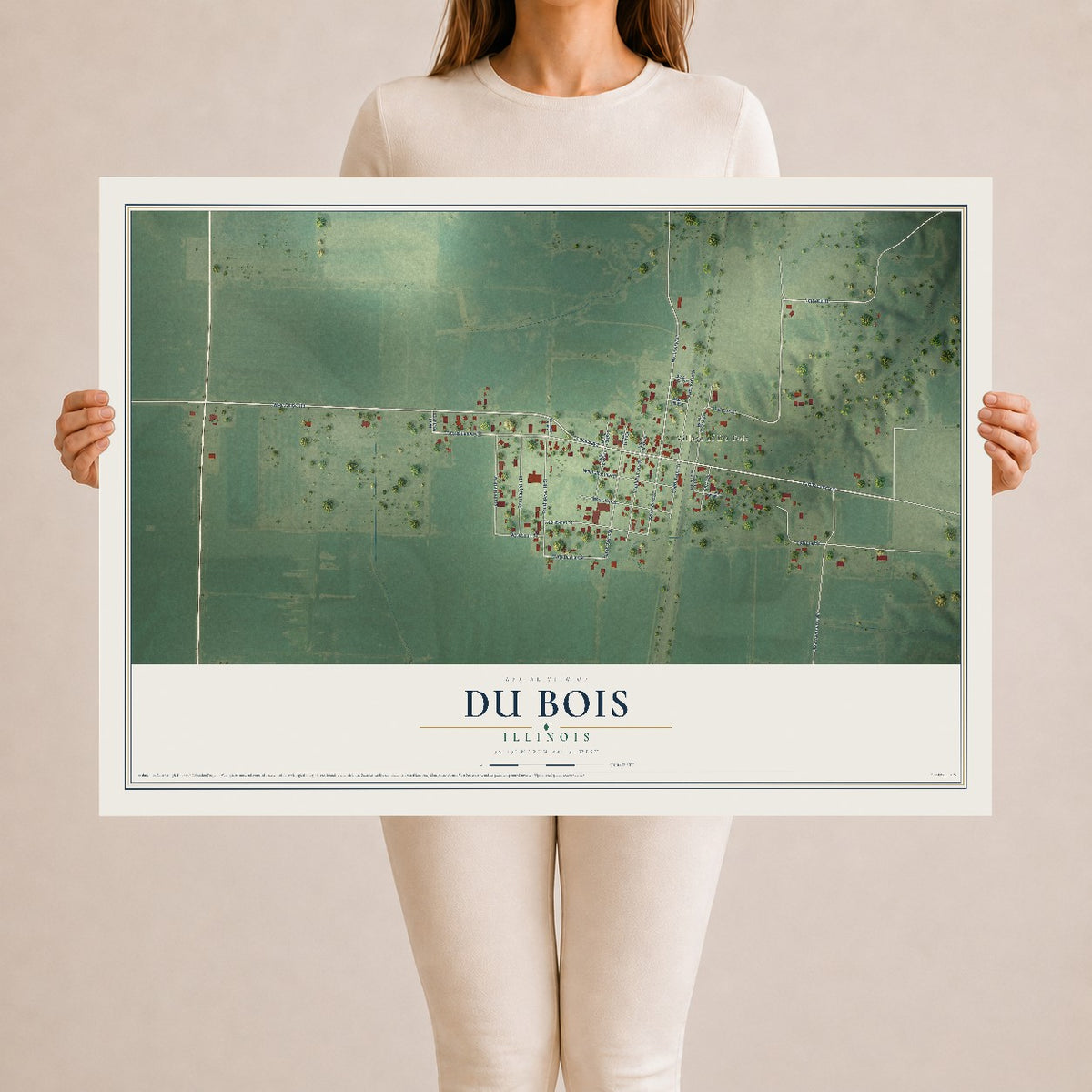 Map of Du Bois, Illinois, 24 x 36 inch unframed archival matte print