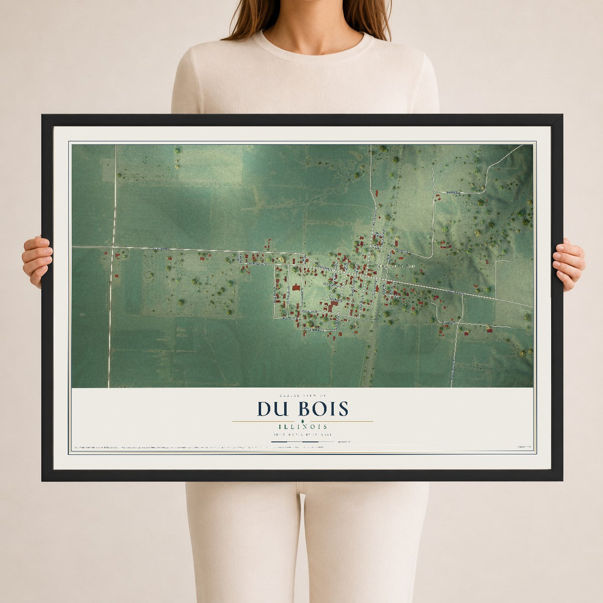 Map of Du Bois, Illinois, 24 x 36 inch print in a black wood frame