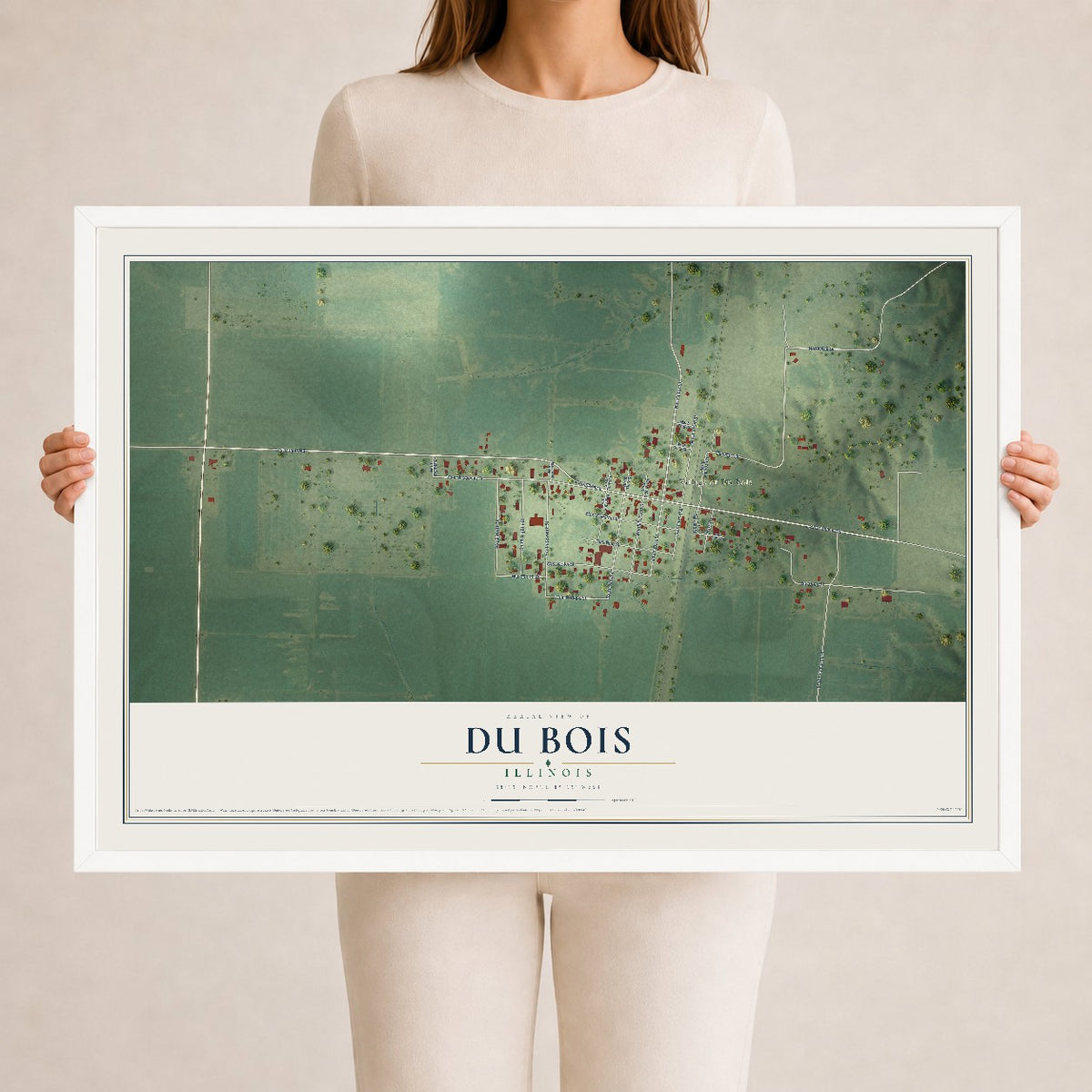 Map of Du Bois, Illinois, 24 x 36 inch print in a white wood frame