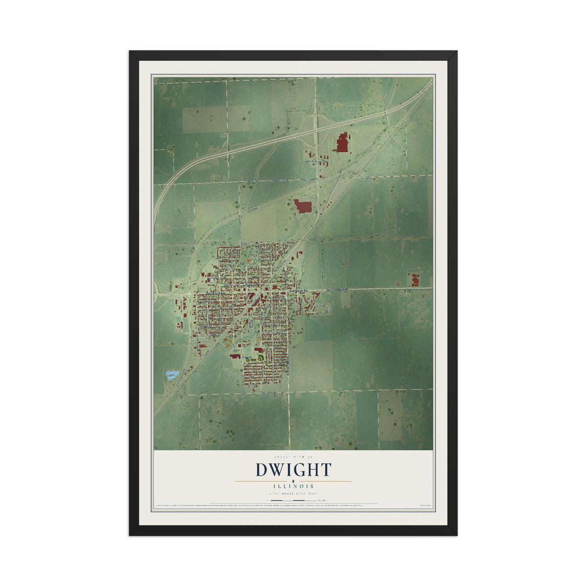 Map of Dwight, Illinois, 12 x 18 inch print in a black wood frame