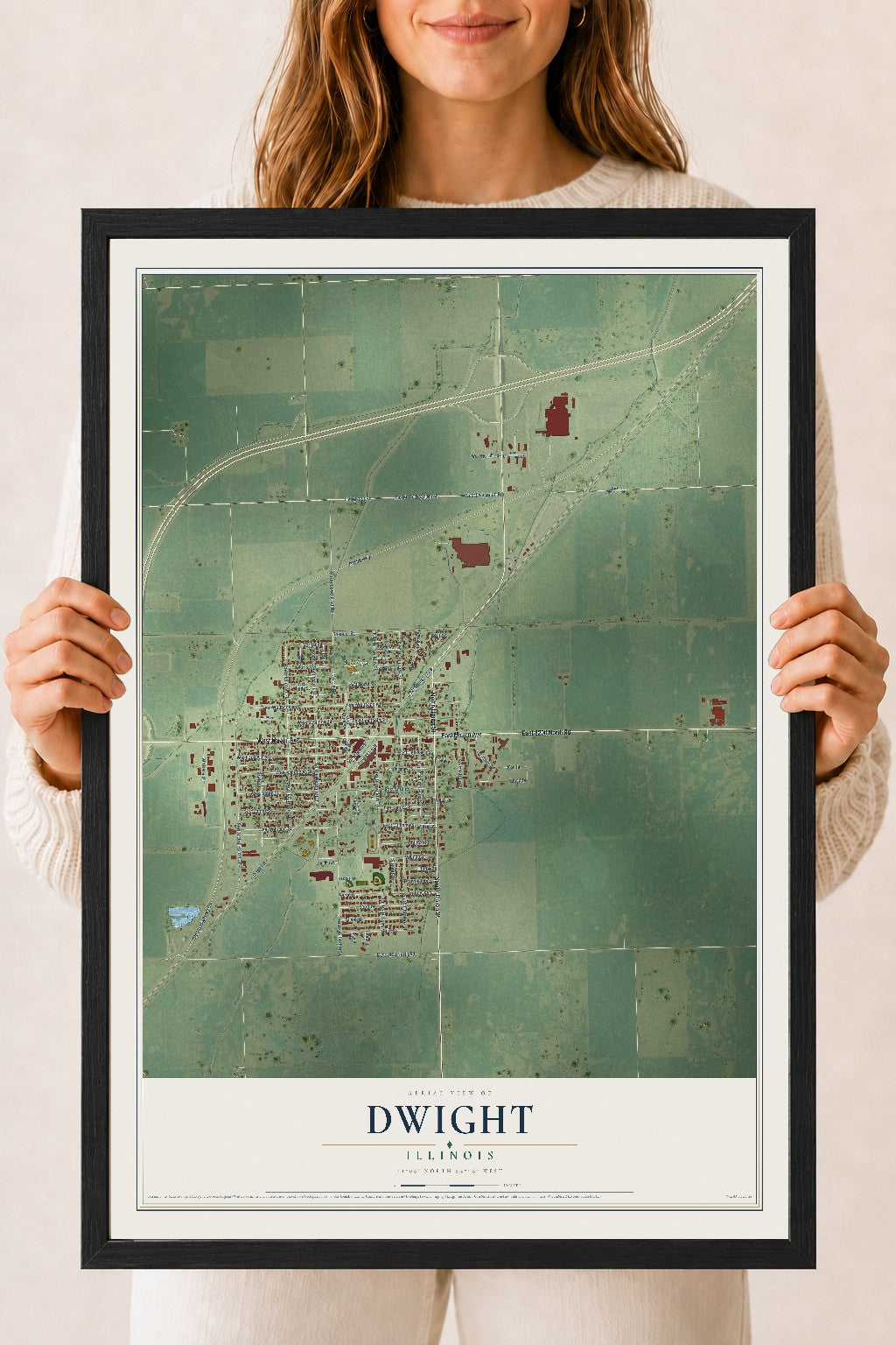 Map of Dwight, Illinois, 18 x 24 inch print in a black wood frame