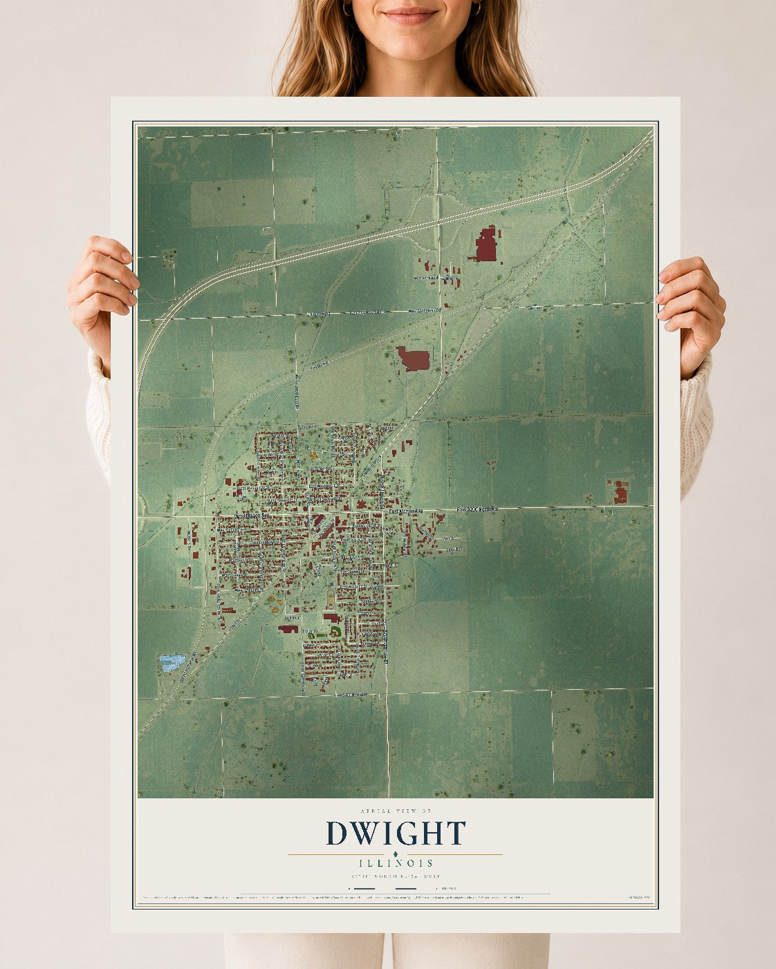 Map of Dwight, Illinois, 24 x 36 inch unframed archival matte print