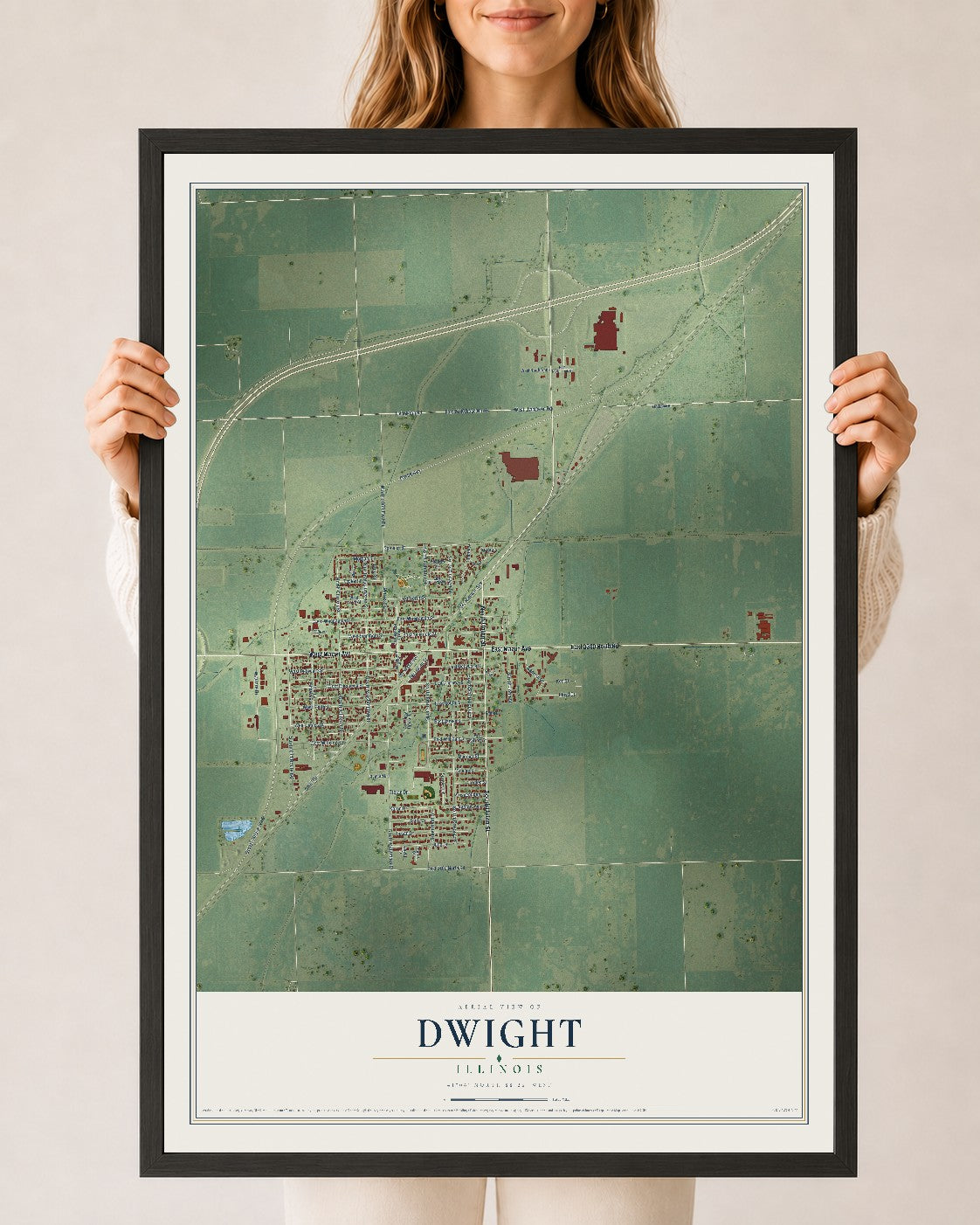 Map of Dwight, Illinois, 24 x 36 inch print in a black wood frame