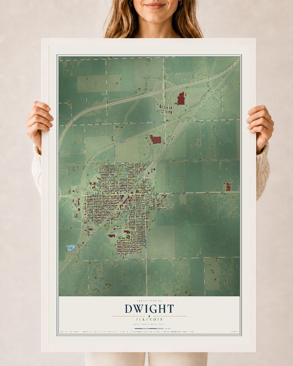Map of Dwight, Illinois, 24 x 36 inch print in a white wood frame