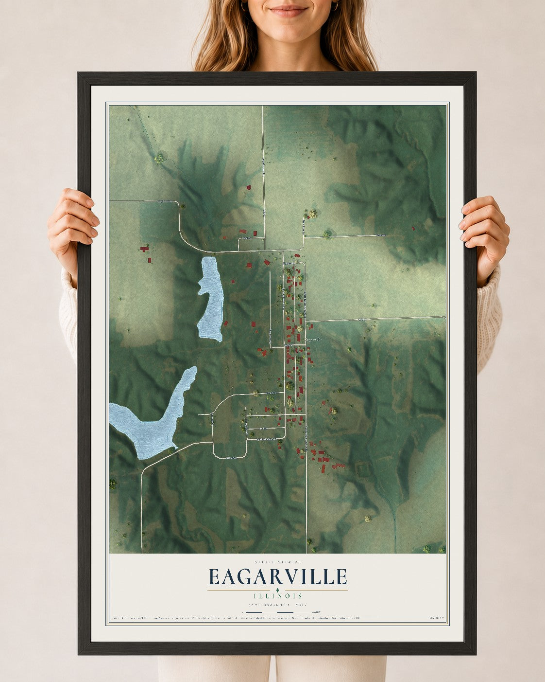 Map of Eagarville, Illinois, 24 x 36 inch print in a black wood frame