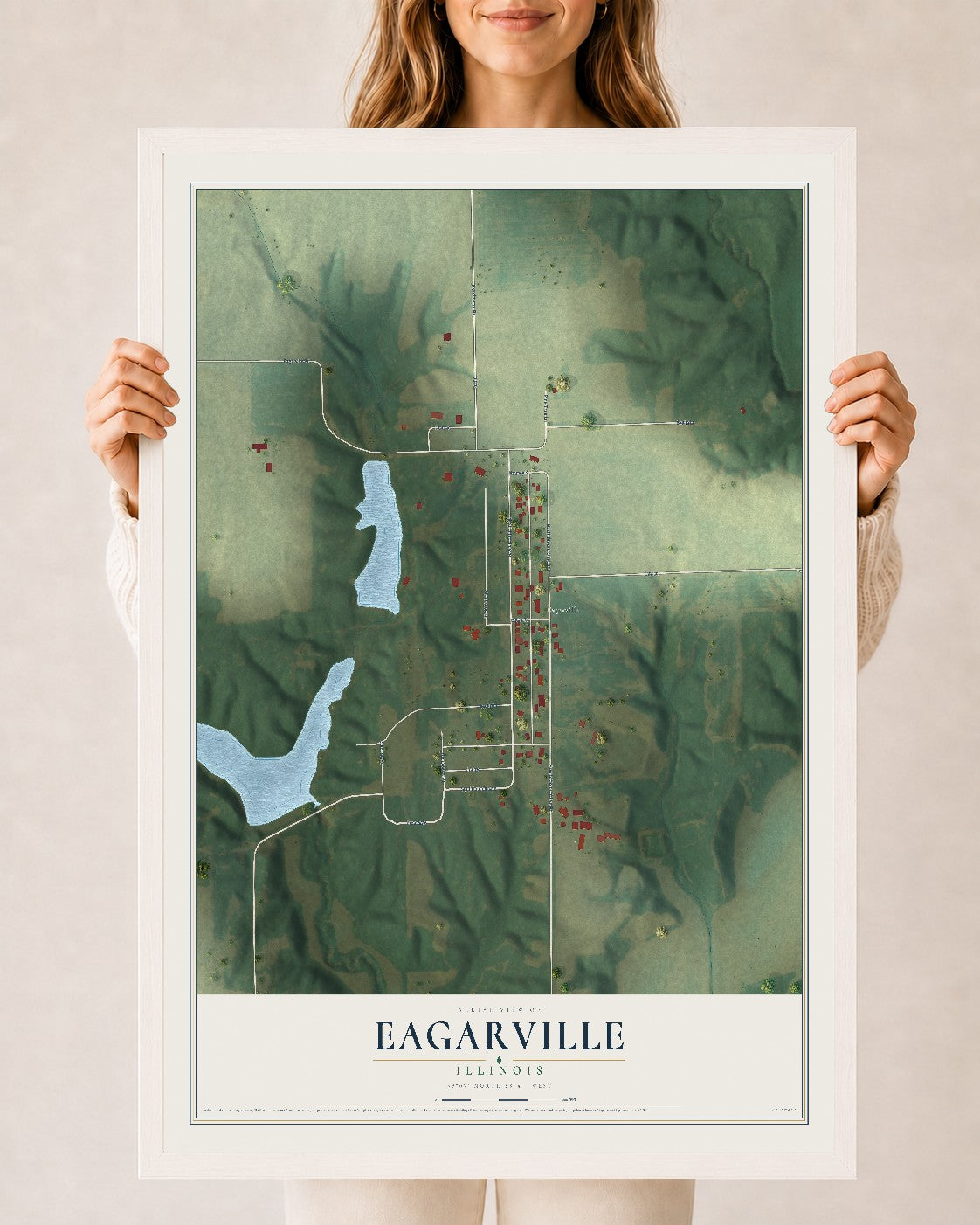 Map of Eagarville, Illinois, 24 x 36 inch print in a white wood frame