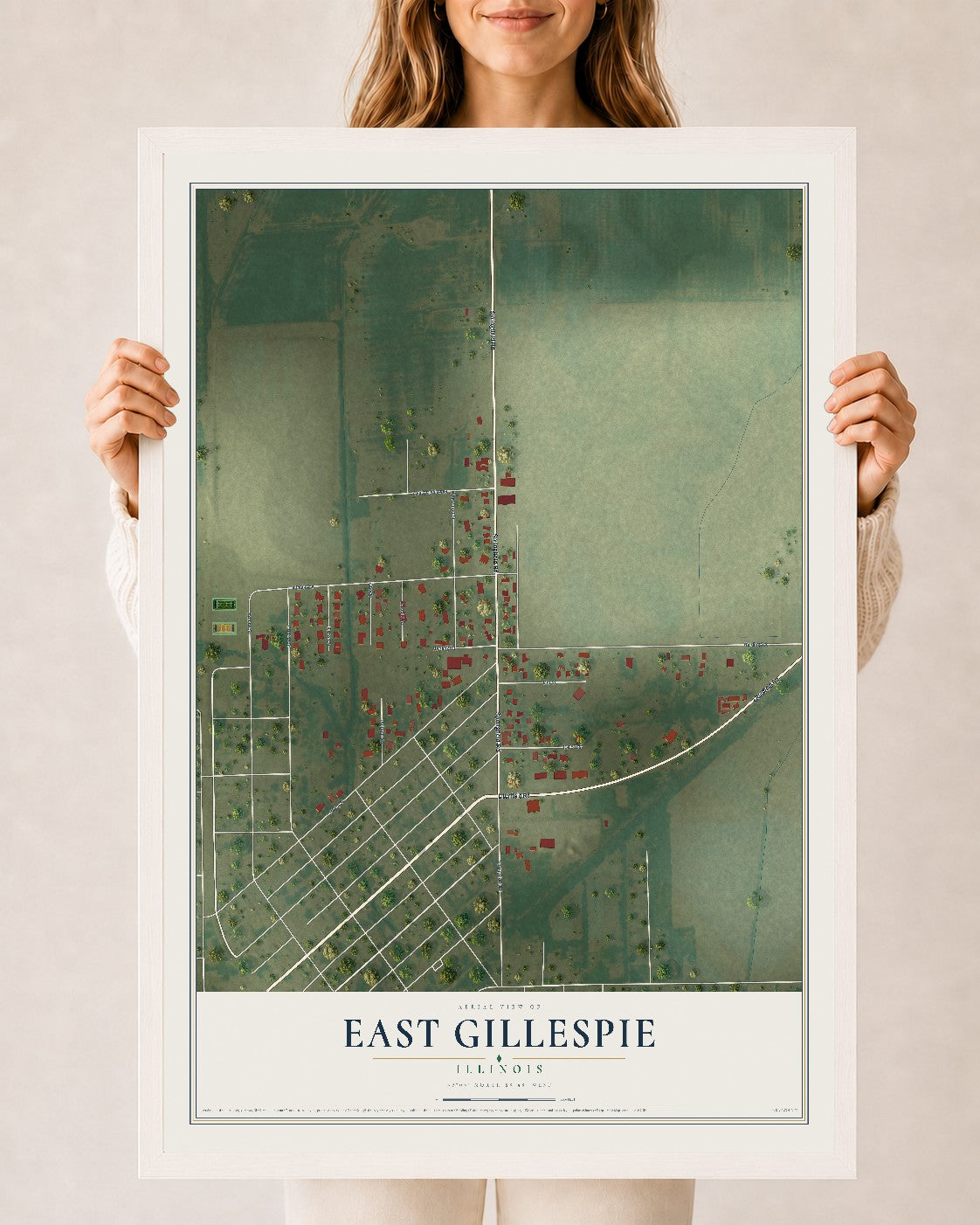 Map of East Gillespie, Illinois, 24 x 36 inch print in a white wood frame