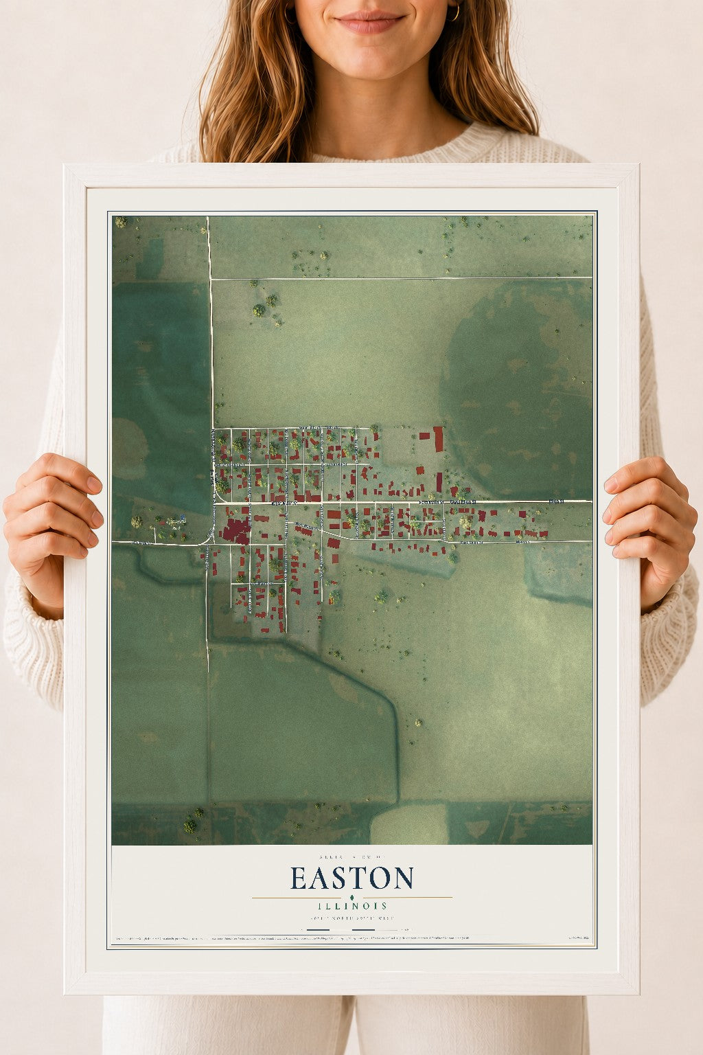 Map of Easton, Illinois, 18 x 24 inch print in a white wood frame