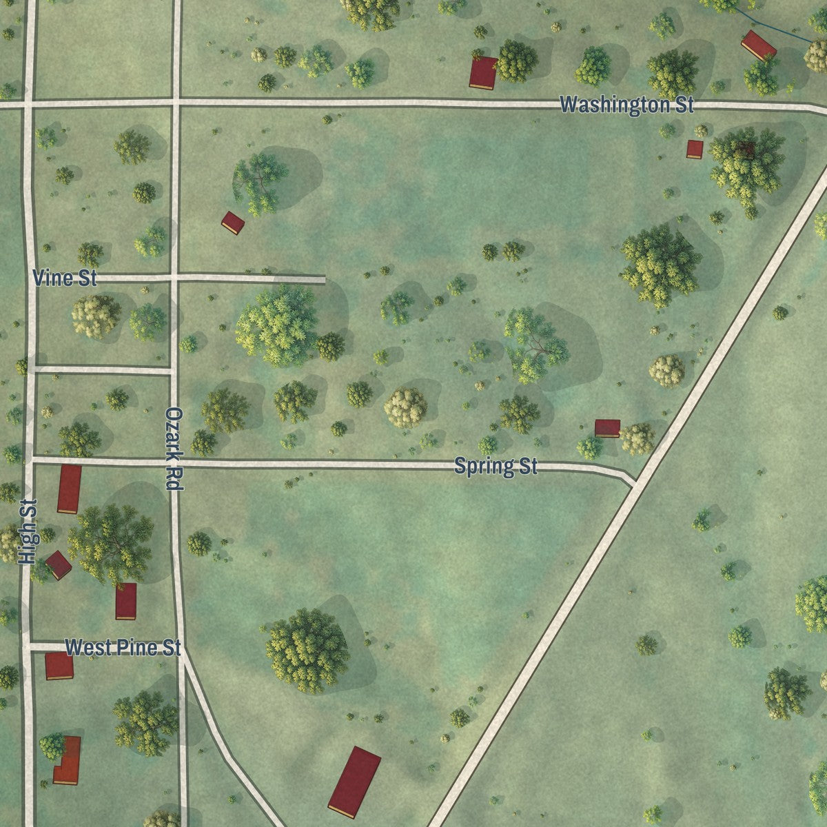 Close-up of the map of Eddyville, Illinois print showing street and building detail