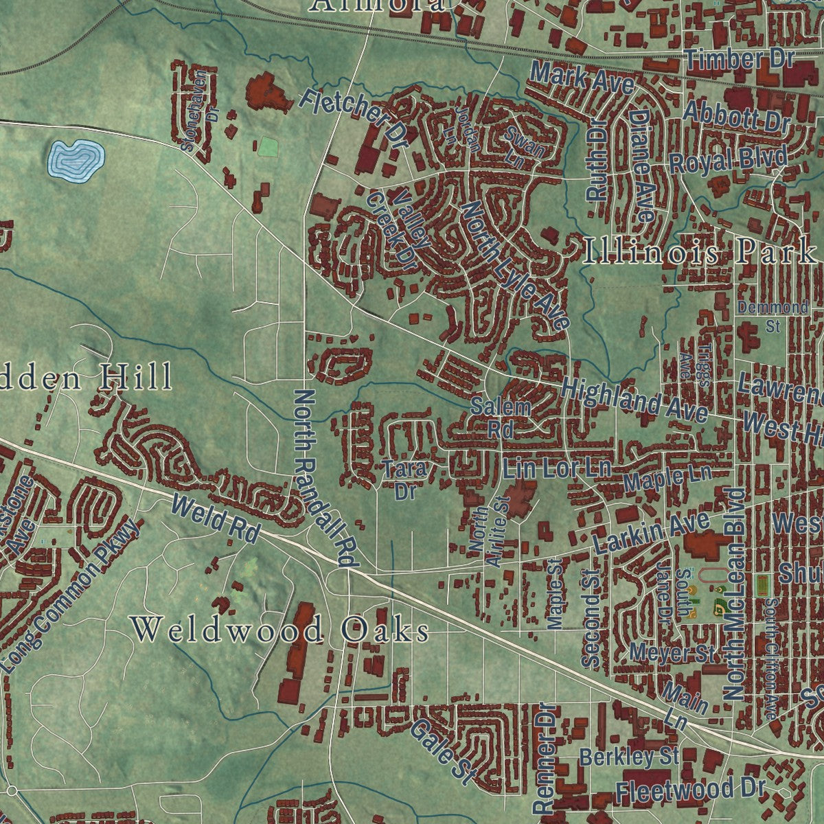 Second close-up of the map of Elgin, Illinois print showing more streets and buildings