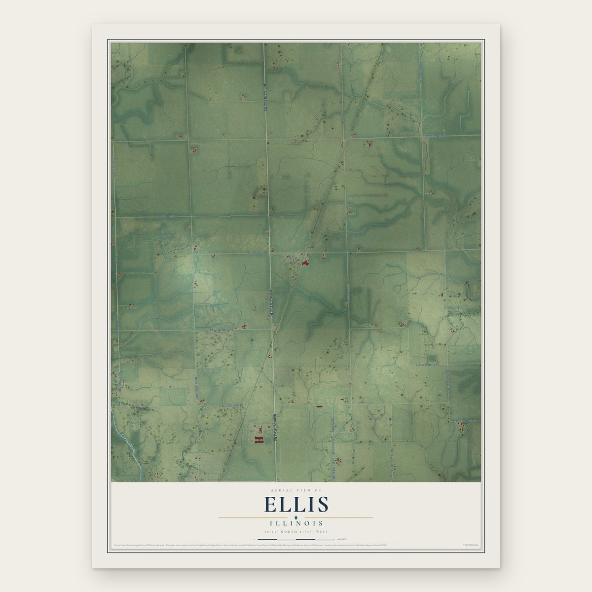 Ellis, Illinois map print, the full design