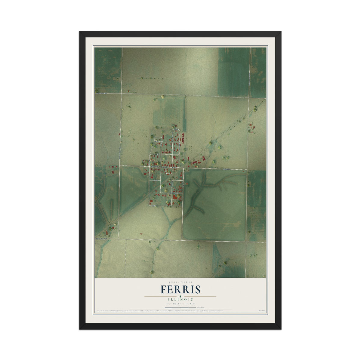 Map of Ferris, Illinois, 12 x 18 inch print in a black wood frame