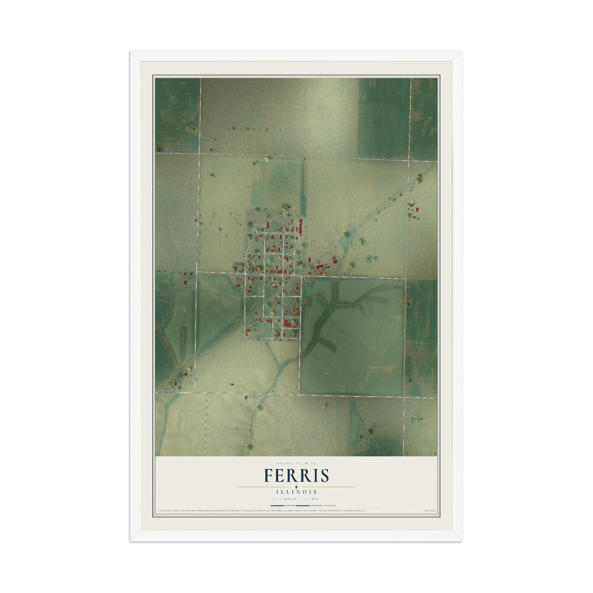 Map of Ferris, Illinois, 12 x 18 inch print in a white wood frame