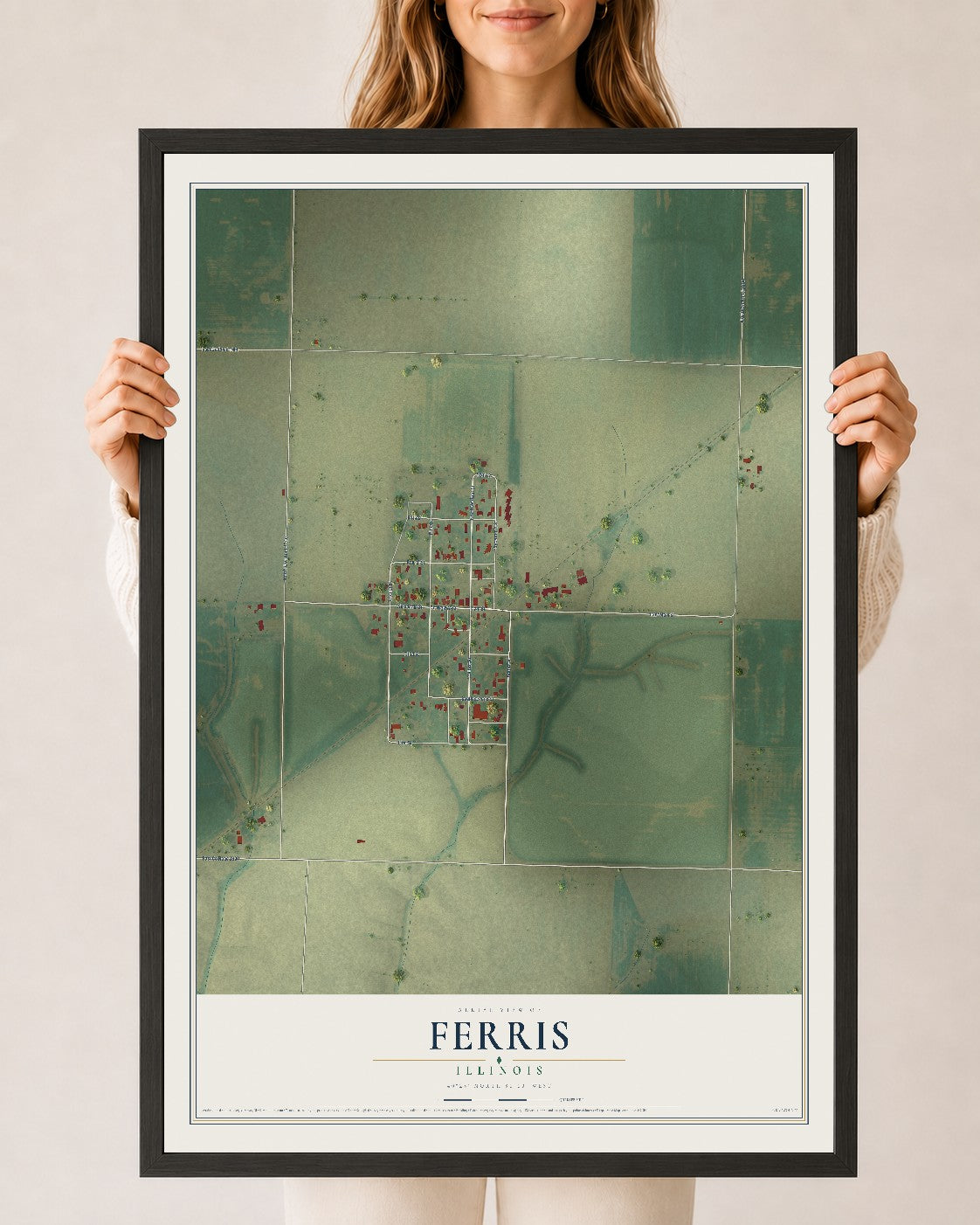 Map of Ferris, Illinois, 24 x 36 inch print in a black wood frame