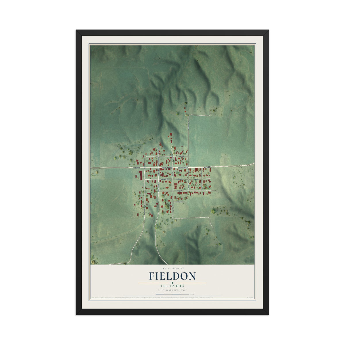 Map of Fieldon, Illinois, 12 x 18 inch print in a black wood frame