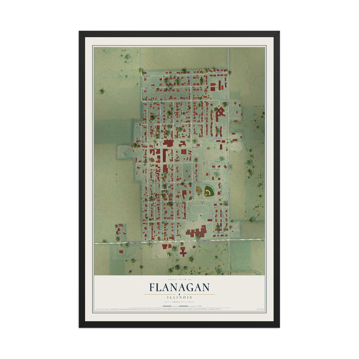 Map of Flanagan, Illinois, 12 x 18 inch print in a black wood frame