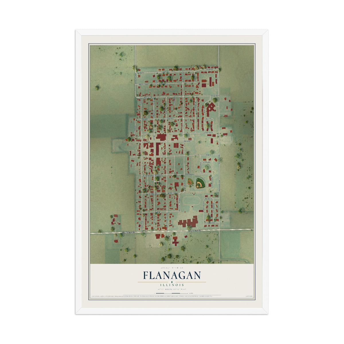 Map of Flanagan, Illinois, 12 x 18 inch print in a white wood frame