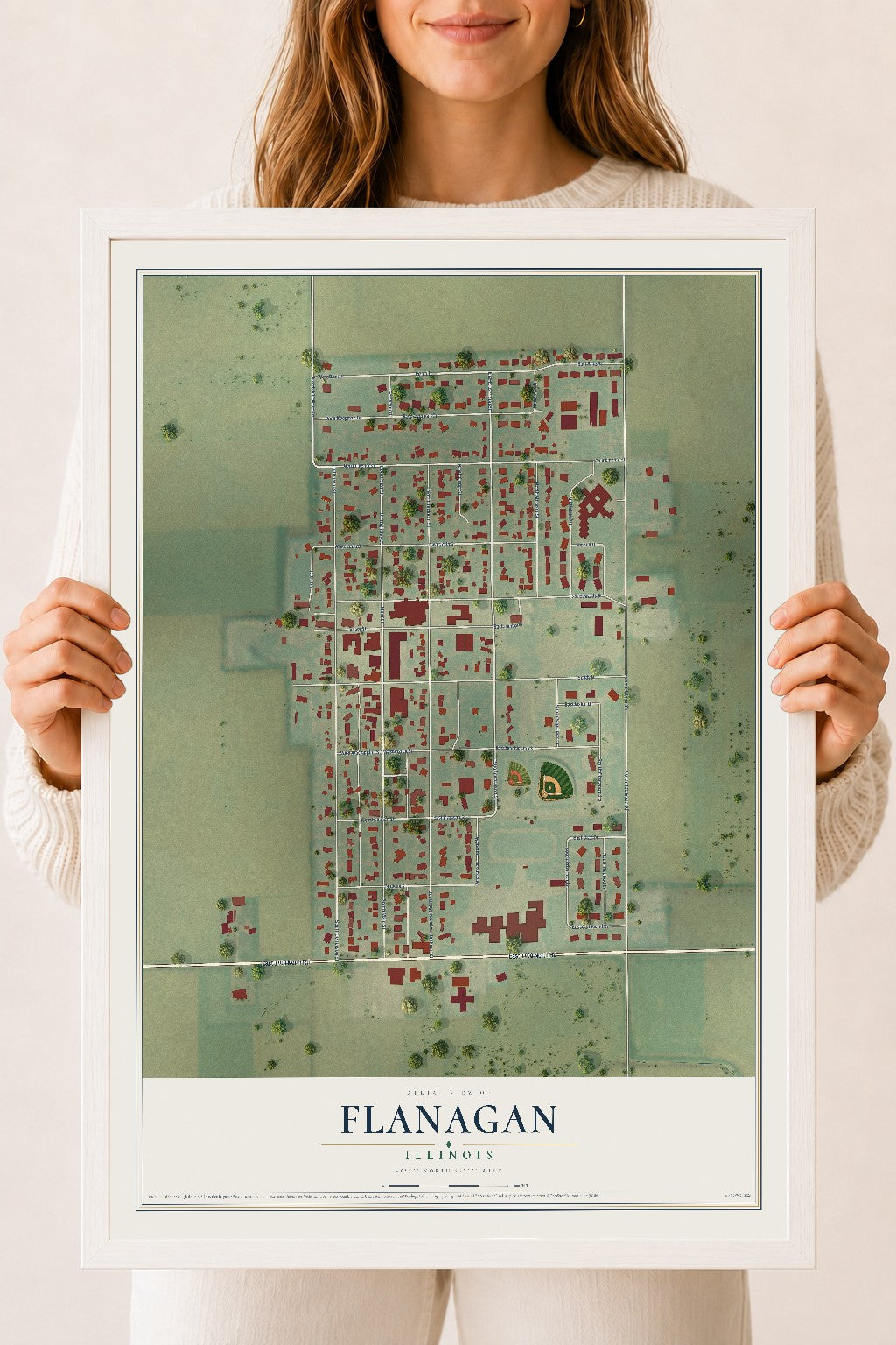 Map of Flanagan, Illinois, 18 x 24 inch print in a white wood frame