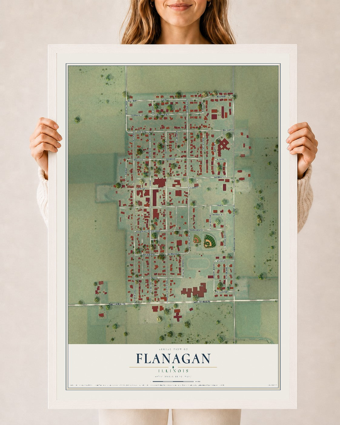 Map of Flanagan, Illinois, 24 x 36 inch print in a white wood frame