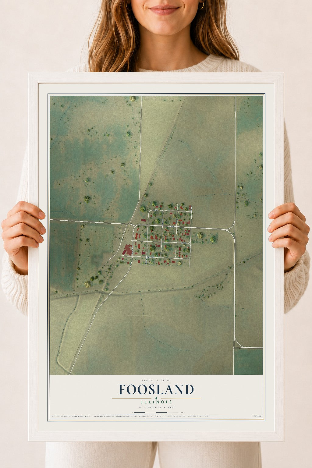 Map of Foosland, Illinois, 18 x 24 inch print in a white wood frame
