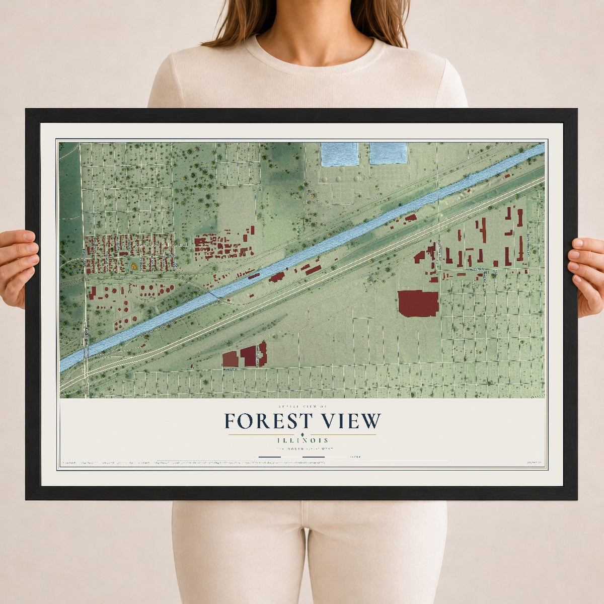 Map of Forest View, Illinois, 18 x 24 inch print in a black wood frame